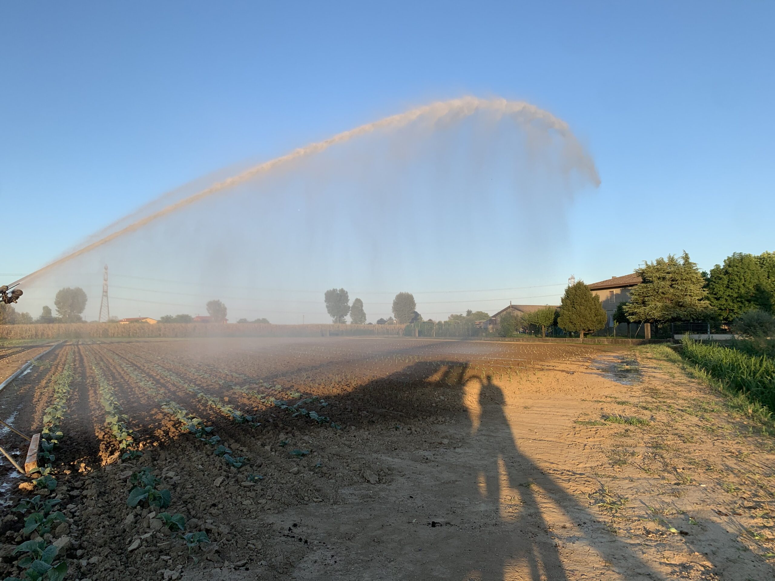 Ortaggi a km 0 a Sambruson