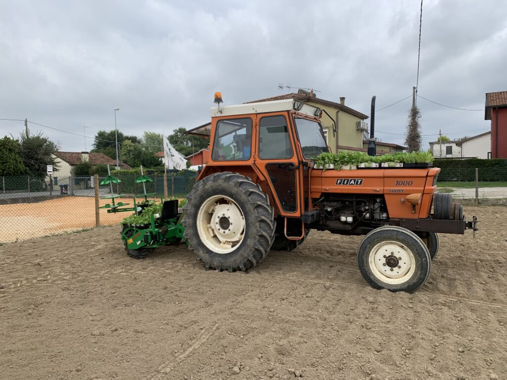 Ortaggi a km 0 a Sambruson