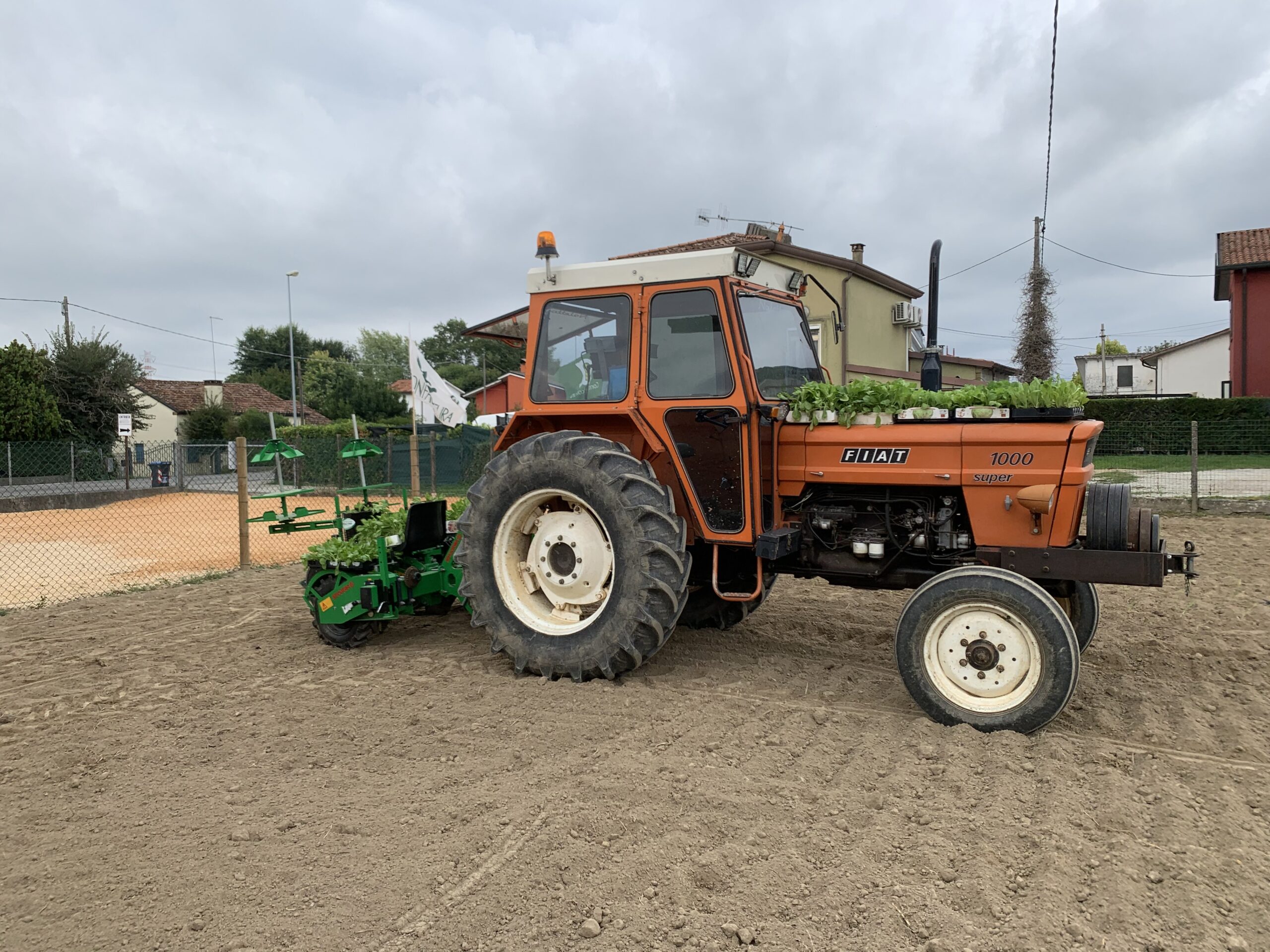 Ortaggi a km 0 a Sambruson