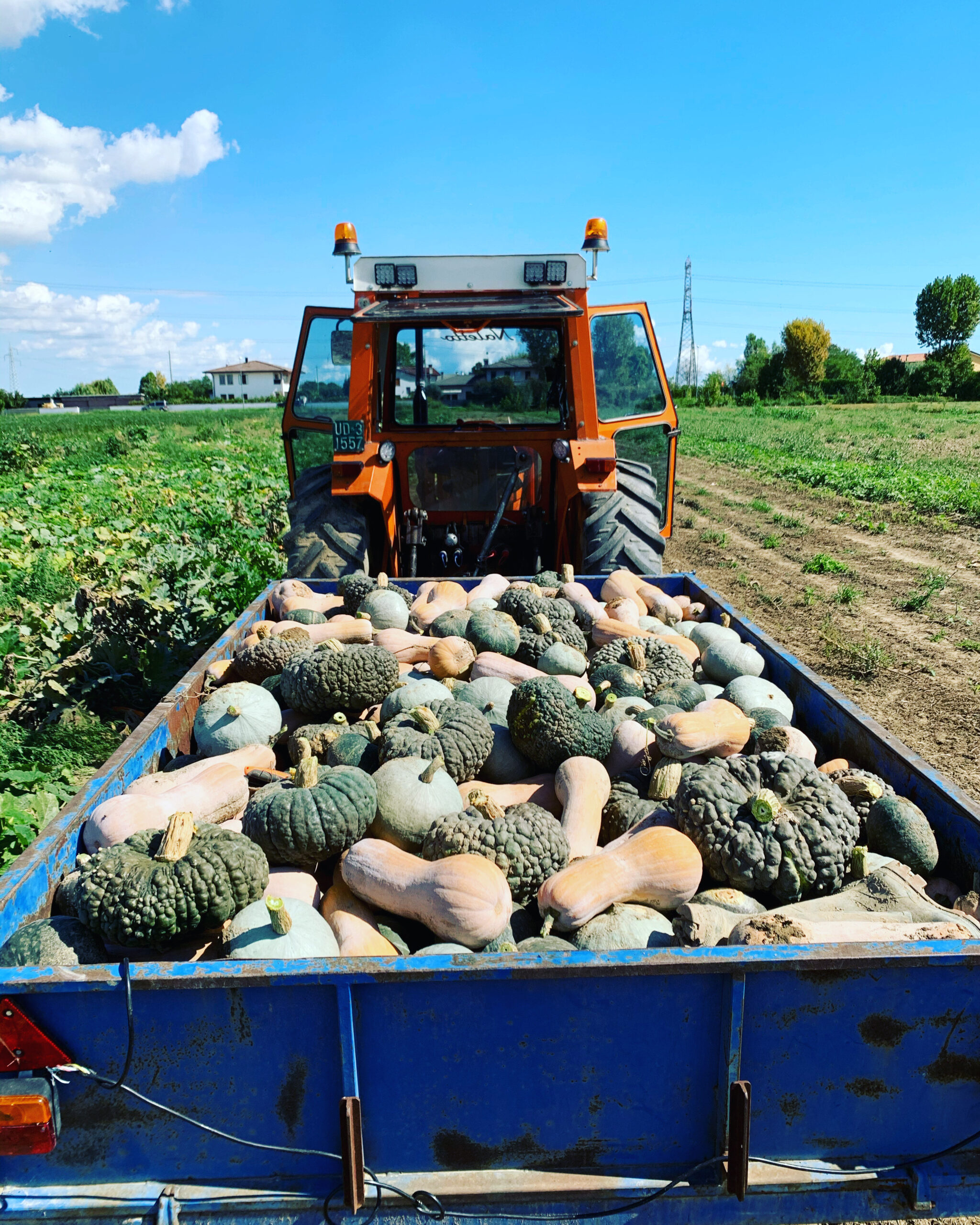 Azienda agricola a Sambruson