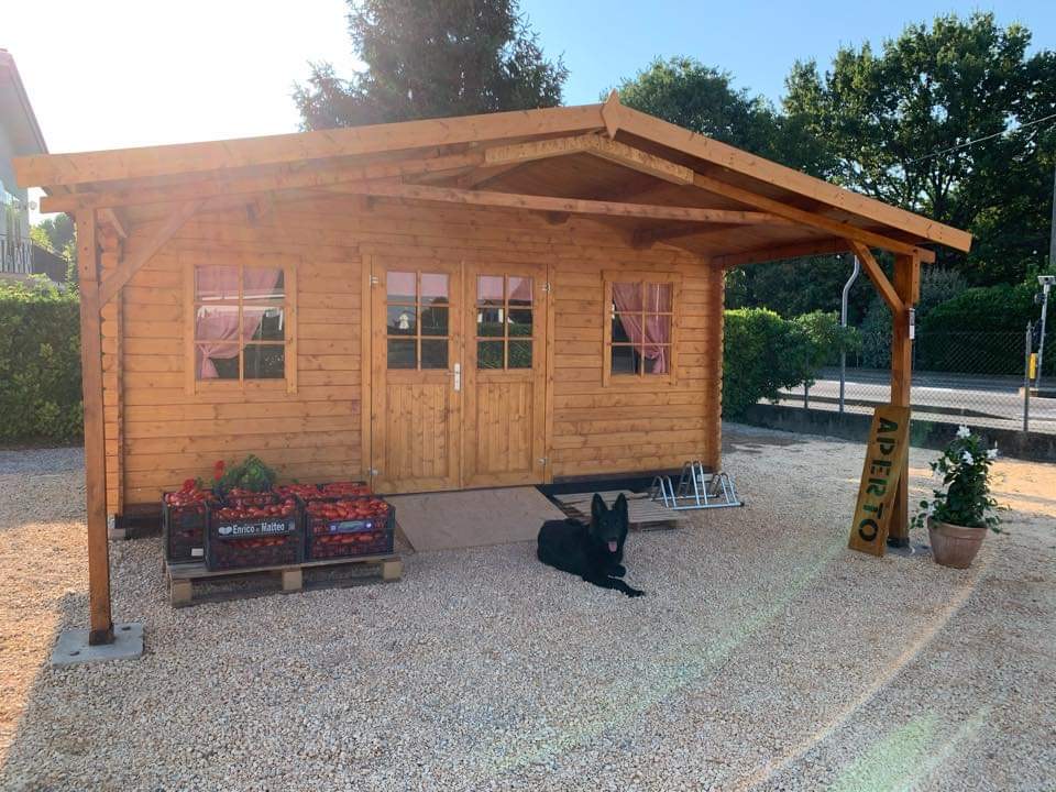 Ortaggi a km 0 a Sambruson