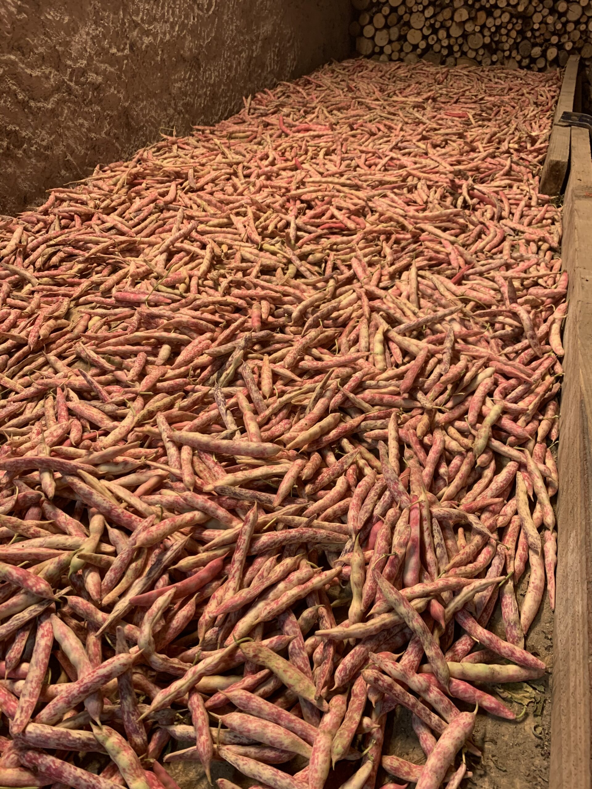 Ortaggi a km 0 a Sambruson